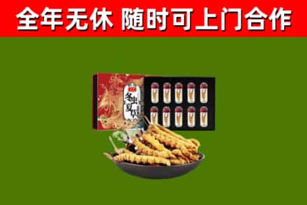莱芜市回收冬虫夏草价格